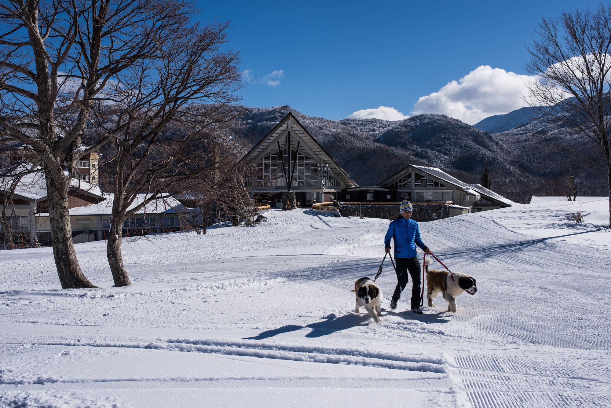 Okushiga Kogen Hotel Yamanouchi  Eksteriør bilde